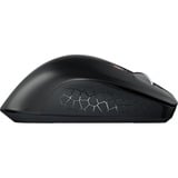 CHERRY JW-8550-2 ratón Universal mano derecha RF inalámbrico Óptico 4000 DPI negro, mano derecha, Óptico, RF inalámbrico, 4000 DPI, Negro, Gris