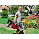 EINHELL GE-SA 1640 escarificador de césped 1600 W 48 L Negro, Rojo rojo/Negro, 1600 W, 40 cm, 1,2 cm, 800 m², 48 L, 22 cm
