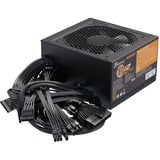 Seasonic B12 BC unidad de fuente de alimentación 750 W 20+4 pin ATX ATX Negro, Fuente de alimentación de PC negro, 750 W, 100 - 240 V, 50/60 Hz, 10 A, 100 W, 744 W