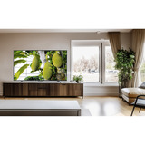 TCL 55QLED810L, TV QLED negro