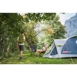 Coleman Tienda de campaña tipo cúpula para 3 personas Darwin 3 Plus gris/Verde claro