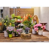 GARDENA Set de riego solar AquaBloom, incl. depósito de agua, Control del riego gris