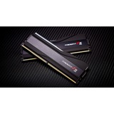 G.Skill F5-7600J3848F24GX2-TZ5RK, Memoria RAM negro