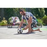 Ryobi RI4-0, Bomba de aire verde/Gris