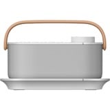 Sony SRS-LSR200 altavoz portátil o de fiesta Blanco blanco, Inalámbrico y alámbrico, USB Tipo C, Blanco, Botones, IPX2, TV