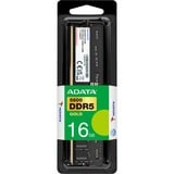 ADATA Gold módulo de memoria 16 GB 1 x 16 GB DDR5 5600 MT/s 288-pin DIMM, Memoria RAM negro, 16 GB, 1 x 16 GB, DDR5, 288-pin DIMM