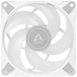 ARCTIC P14 PWM PST A-RGB, Ventilador blanco