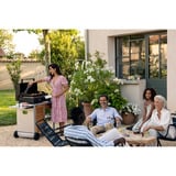 Campingaz Plancha Onyx 2, Placa de la parrilla negro