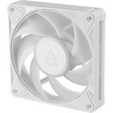 ARCTIC BioniX P12 A-RGB, Ventilador blanco/blanco