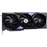 MSI V535-001R, Tarjeta gráfica 