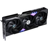 MSI V535-001R, Tarjeta gráfica 