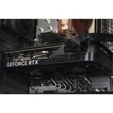 ALTERNATE AGP-SPECIAL-INT-005, Gaming-PC negro/Transparente