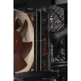 ALTERNATE Gaming-PC Special Edition • RTX 4060 • Intel® Core™ i5-13400F • 16 GB RAM negro/Transparente