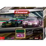 Carrera DIGITAL 124 Reach for Gold, Pistas de carreras 