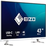 EIZO FlexScan EV4340X-WT LED display 108 cm (42.5") 3840 x 2160 Pixeles 4K Ultra HD Blanco, Monitor LED blanco, 108 cm (42.5"), 3840 x 2160 Pixeles, 4K Ultra HD, LED, 5 ms, Blanco