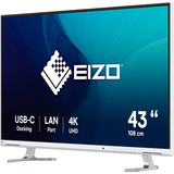 EIZO FlexScan EV4340X-WT LED display 108 cm (42.5") 3840 x 2160 Pixeles 4K Ultra HD Blanco, Monitor LED blanco, 108 cm (42.5"), 3840 x 2160 Pixeles, 4K Ultra HD, LED, 5 ms, Blanco