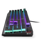 ENDORFY EY5D024, Teclado para gaming negro