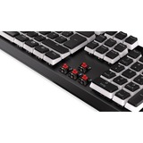 ENDORFY EY5D024, Teclado para gaming negro