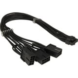 Inter-Tech Cable adaptador GPU-02 (12+4pin) a 3x 8pin negro