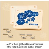 KOSMOS 658175, Caja de experimentos 