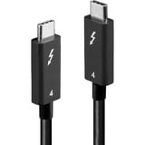 Lindy 31121, Cable negro