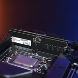 ADATA AD5CU640016G-S, Memoria RAM 