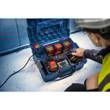 Bosch 1600A0373D, Batería negro