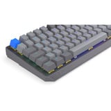 ENDORFY EY5D037, Teclado para gaming gris