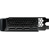Gainward NE7506TU19T1-GB2061B, Tarjeta gráfica 