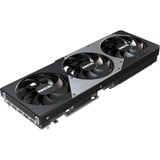INNO3D N50803-16D7-176068N, Tarjeta gráfica 