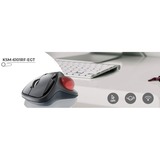 KeySonic KSM-6101RF-EGT, Trackball gris/Rojo
