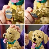 LEGO Iconos cachorro de Golden Retriever, Juegos de construcción 