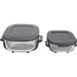 Ninja FN101EUSG, Freidora de aire caliente gris-verde/Transparente