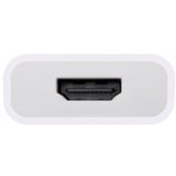 OWC Adaptador USB, conector USB-C > toma HDMI 4K blanco