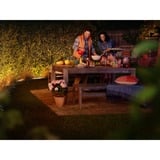 Philips Hue Tira de luz para exteriores 5 metros, Tira de LED Philips Hue White and Color ambiance Tira de luz para exteriores 5 metros, Tira de luz inteligente, ZigBee, Blanco, LED, Silicona, Bombilla(s) no reemplazable(s)