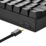 Sharkoon SGK50 S4 teclado USB QWERTY Portugués Negro, Teclado para gaming negro, 60%, USB, QWERTY, LED RGB, Negro