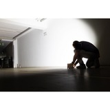 Wiha 45698, Foco de obra negro/Rojo