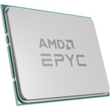 AMD EPYC™ 7313P, Procesador 