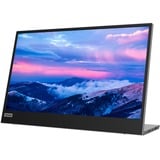 Lenovo L15 Monitor, Monitor LED negro, 39,6 cm (15.6"), 1920 x 1080 Pixeles, Full HD, LED, 14 ms, Negro, Gris