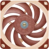 Noctua NF-A12x25 Carcasa del ordenador Ventilador 12 cm Beige, Marrón Ventilador, 12 cm, 450 RPM, 1200 RPM, 12,1 dB, 55,7 m³/h