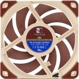 Noctua NF-A12x25 Carcasa del ordenador Ventilador 12 cm Beige, Marrón Ventilador, 12 cm, 450 RPM, 1200 RPM, 12,1 dB, 55,7 m³/h