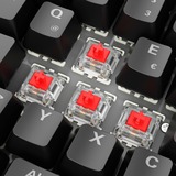 Sharkoon SKILLER SGK50 S2, Teclado para gaming negro
