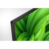 Sony KD32W800 81,3 cm (32") HD Smart TV Wifi Negro, Televisor LED negro, 81,3 cm (32"), 1366 x 768 Pixeles, LED, Smart TV, Wifi, Negro