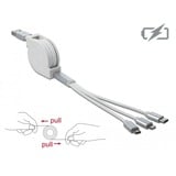 DeLOCK 85850 cable USB 0,98 m USB 2.0 USB A USB C/Micro-USB B/Lightning Plata, Blanco blanco/Plateado, 0,98 m, USB A, USB C/Micro-USB B/Lightning, USB 2.0, Plata, Blanco