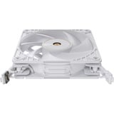 ASUS ProArt PF120, Ventilador blanco