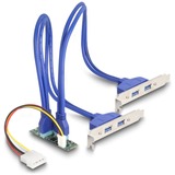 DeLOCK Convertidor M.2 Key B+M conector > 4 x USB 5 Gbps Tipo-A, Ampliación de interfaces 