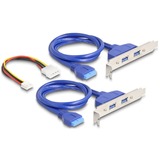 DeLOCK Convertidor M.2 Key B+M conector > 4 x USB 5 Gbps Tipo-A, Ampliación de interfaces 