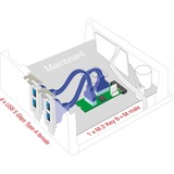 DeLOCK Convertidor M.2 Key B+M conector > 4 x USB 5 Gbps Tipo-A, Ampliación de interfaces 