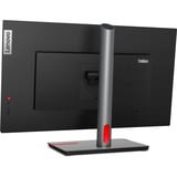 Lenovo ThinkVision P32p-30 LED display 80 cm (31.5") 3840 x 2160 Pixeles 4K Ultra HD Negro, Monitor LED negro, 80 cm (31.5"), 3840 x 2160 Pixeles, 4K Ultra HD, LED, 6 ms, Negro