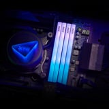 ADATA DIMM 64 GB DDR5-6000 (2x 32 GB) Kit Dual, Memoria RAM negro